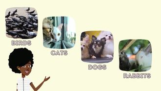 We Love Animals