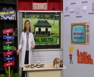 76 - The Animal Shelter
