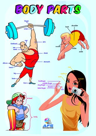 Body Parts