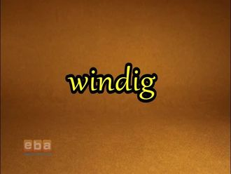 Windig