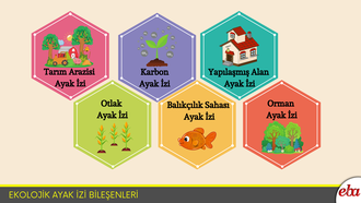 Ekolojiik Ayak İzi Bileşenleri